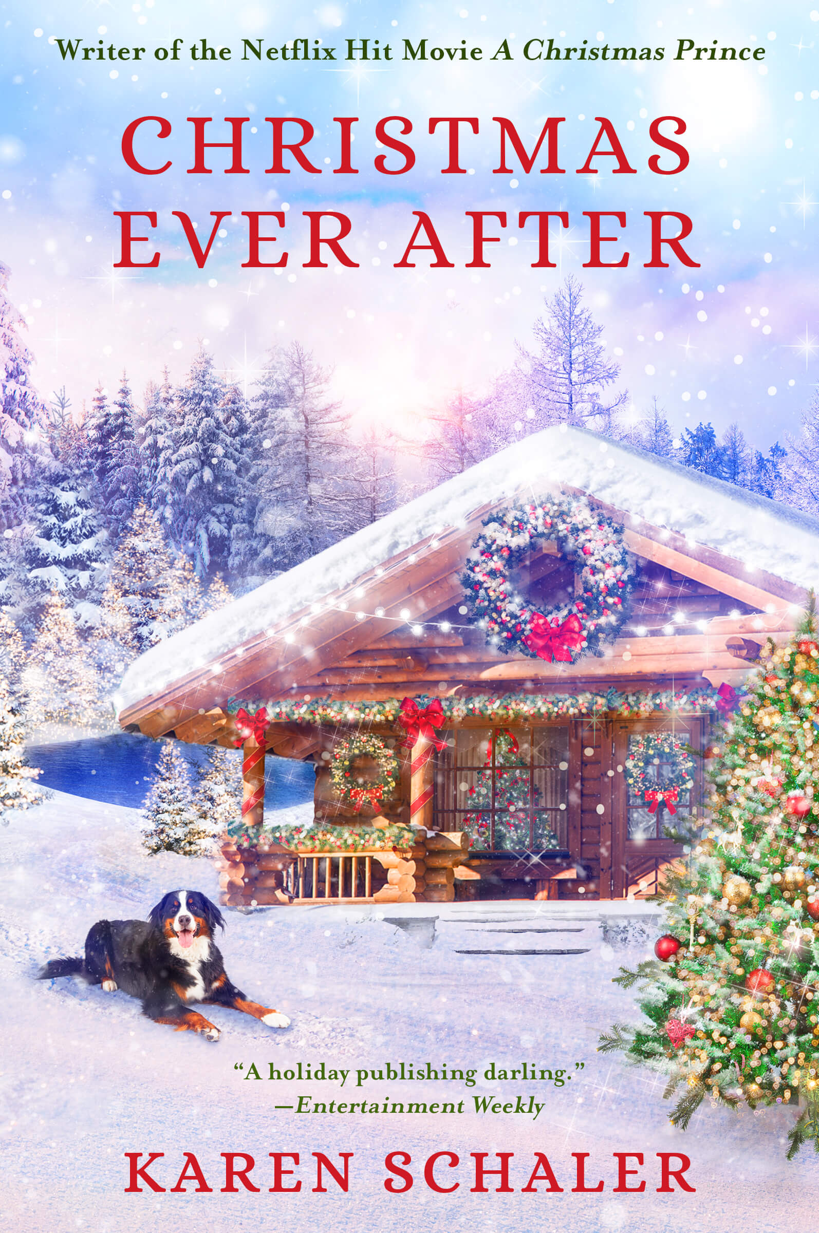 new christmas books 2020 Books Karen Schaler new christmas books 2020